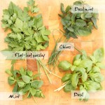 Freezing Fresh Herbs For Dinner {and Cocktails!}