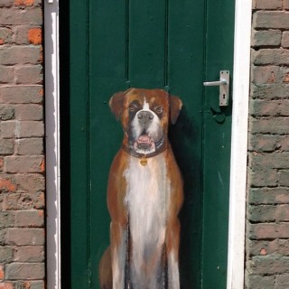 Boxer dog on door