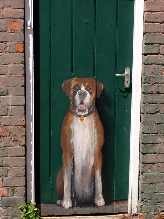 Boxer dog on door