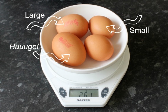 egg sizes