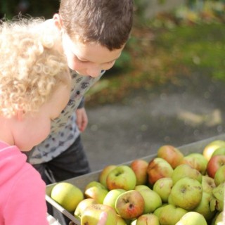 apple picking