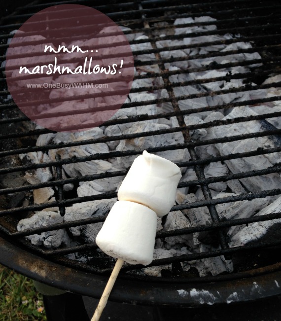 camp fire marshmallows