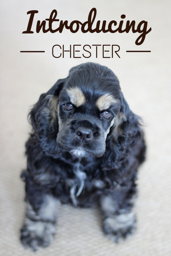 Chester