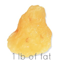 1lb of fat